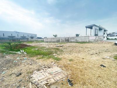 Commercial Plot