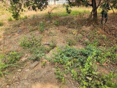 Others image of 40000.0 Sq.ft   Commercial Plot for sale in Vasai East for 100000000