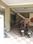 Others image of 4200.0 Sq.ft   Commercial Property for rent in Munnekollal for 160000