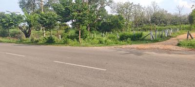 Commercial Plot