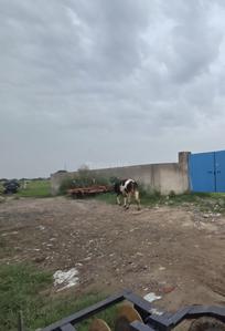 Others image of 16000.0 Sq.ft   Commercial Plot for rent in Bakkarwala for 60000