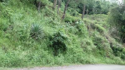 Others image of 20250.0 Sq.ft   Commercial Plot for sale in Kandaghat for 4500000