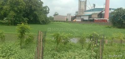 Commercial Plot