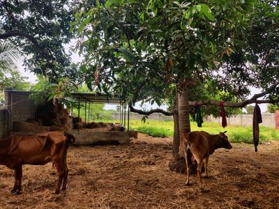 Others image of 13068.0 Sq.ft   Commercial Plot for sale in Vandavasi for 4200000