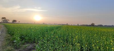 Others image of 27000.0 Sq.ft   Commercial Plot for sale in Murthal Khas for 24500000