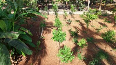 Others image of 6534.0 Sq.ft Commercial Property for sale in Vidyaranyapura for 2560000