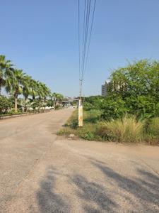 Commercial Plot