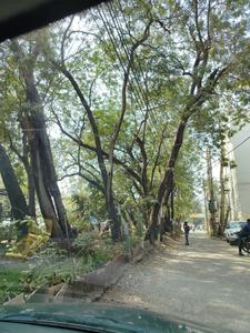 Others image of 2400.0 Sq.ft   Commercial Plot for sale in Arera Colony for 100000000