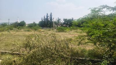 Commercial Plot