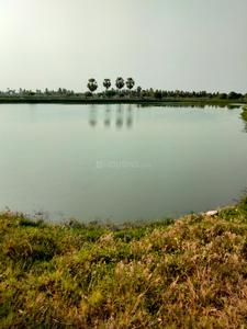 Others image of 250000.0 Sq.ft   Commercial Property for rent in Balusumoodi for 420000