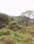 Others image of 5000.0 Sq.ft   Commercial Plot for sale in Khadakwasla for 12000000