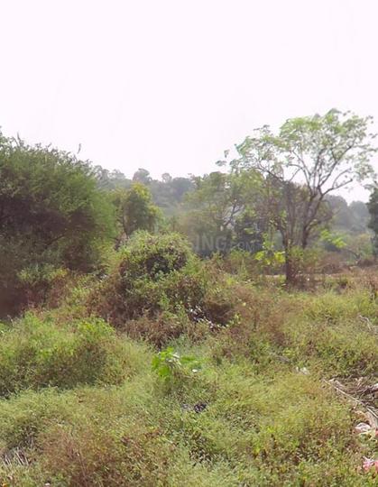 Others image of 5000.0 Sq.ft   Commercial Plot for sale in Khadakwasla for 12000000