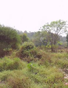 Others image of 5000.0 Sq.ft   Commercial Plot for sale in Khadakwasla for 12000000