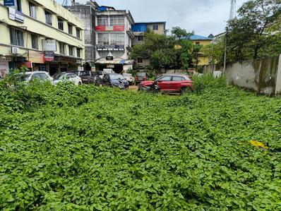 Commercial Plot