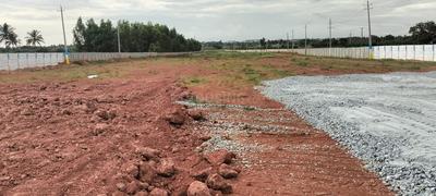 Commercial Plot