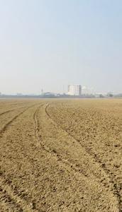 Others image of 31000.0 Sq.ft   Commercial Plot for sale in Nawabganj for 45000000