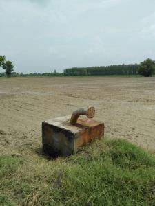 Commercial Plot