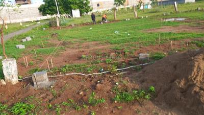 Commercial Plot