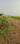 Others image of 43995.0 Sq.ft   Commercial Plot for sale in Kesarapalle for 30000000