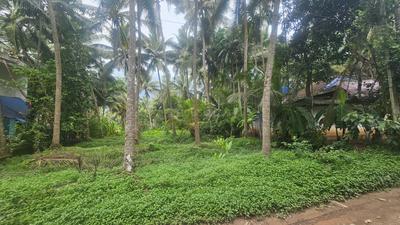 Others image of 81.0 Sq.ft Commercial Plot for sale in Thavakkara for 3000000
