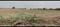 Others image of 81000.0 Sq.ft   Commercial Plot for sale in Moraiya for 270000000