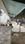 Others image of 260.0 Sq.ft pre-leased  Shop for sale in Kharghar for 7800000