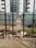 Others image of 400.0 Sq.ft   Showroom for sale in Gota for 9441380