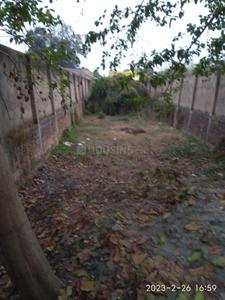 Commercial Plot