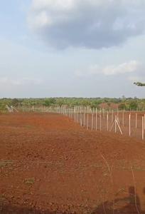 Commercial Plot