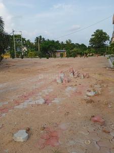 Others image of 3000.0 Sq.ft   Commercial Property for rent in Tihiri for 50000