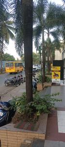 Others image of 1590.0 Sq.ft   Shop for rent in Borivali West for 250000