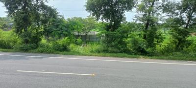 Commercial Plot