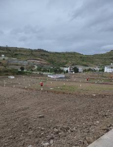 Others image of 2000.0 Sq.ft   Commercial Plot for rent in Wadaki for 20000