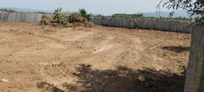 Others image of 10000.0 Sq.ft   Commercial Plot for sale in Papanayidu Pet for 20000000