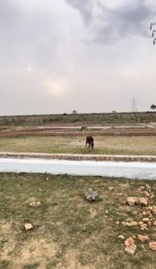 Others image of 1000.0 Sq.ft   Commercial Plot for sale in Kisan Path for 1650000