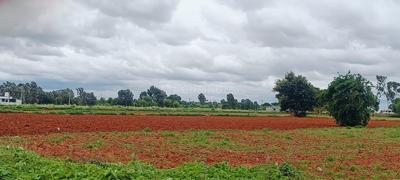 Others image of 4000.0 Sq.ft   Commercial Plot for sale in Devanahalli for 6400000
