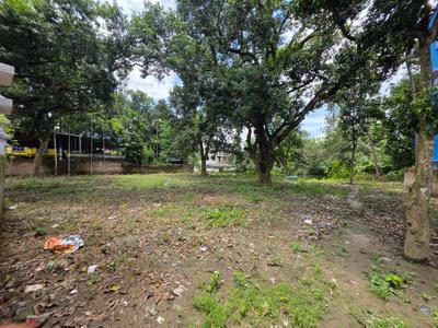 Commercial Plot