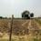 Others image of 150000.0 Sq.ft   Commercial Property for sale in Rohta   for 175500000