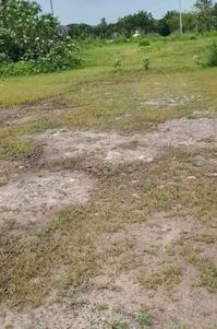 Commercial Plot