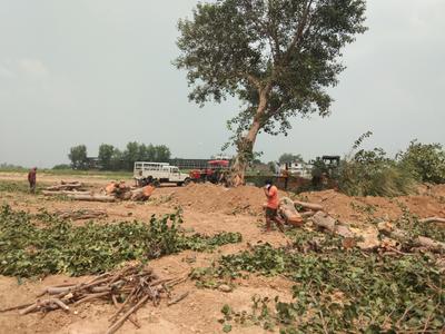 Others image of 5652.0 Sq.ft   Commercial Plot for sale in Barwala for 6908000