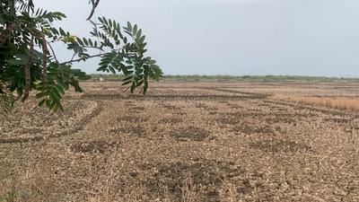 Others image of 1089.0 Sq.ft   Commercial Plot for sale in jui for 1200000