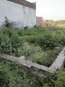 Others image of 147.0 Sq.ft Commercial Plot for sale in Mahipalpur for 2250000