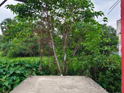 Commercial Plot
