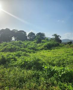 Others image of 217800.0 Sq.ft   Commercial Plot for sale in Naigaon East for 440000000
