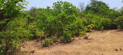 Others image of 55386.0 Sq.ft   Commercial Plot for sale in Rohidas Nagar for 3500000