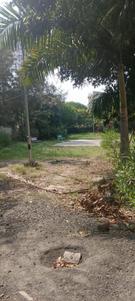 Commercial Plot