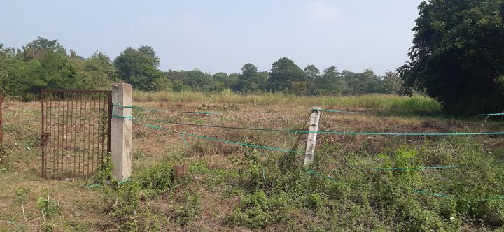 Others image of 13068.0 Sq.ft   Commercial Plot for sale in Damani Zapa for 84942000