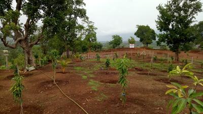 Outside View image of 108900.0 Sq.ft pre-leased  Commercial Plot for sale in Vajreshwari for 250000000