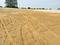 Others image of 35280.0 Sq.ft   Commercial Plot for rent in Zundal for 600000