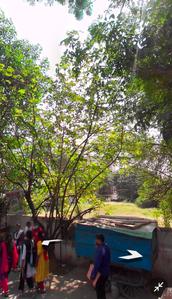 Others image of 9600.0 Sq.ft   Commercial Plot for sale in Aminjikarai for 200000000